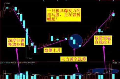 历史罕见盛况！1300亿龙头股惊现20cm涨停奇迹